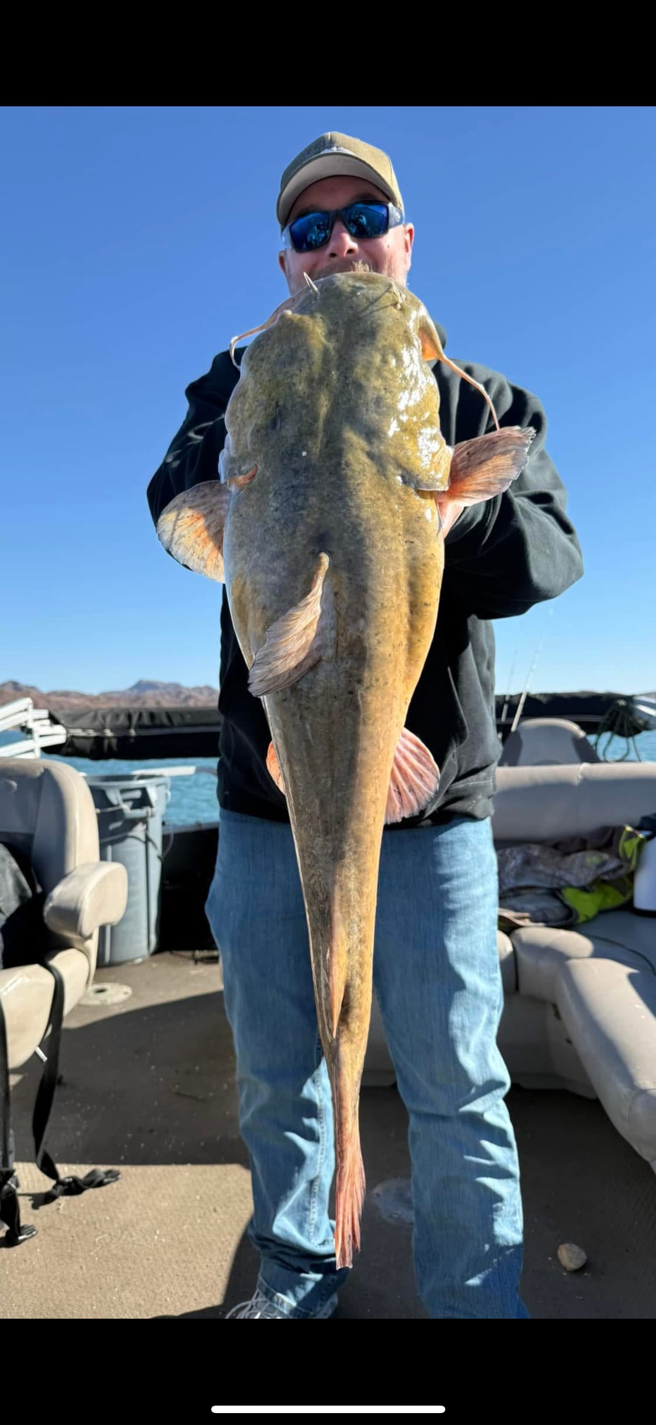 Angler holding a large flathead catfish on the boat