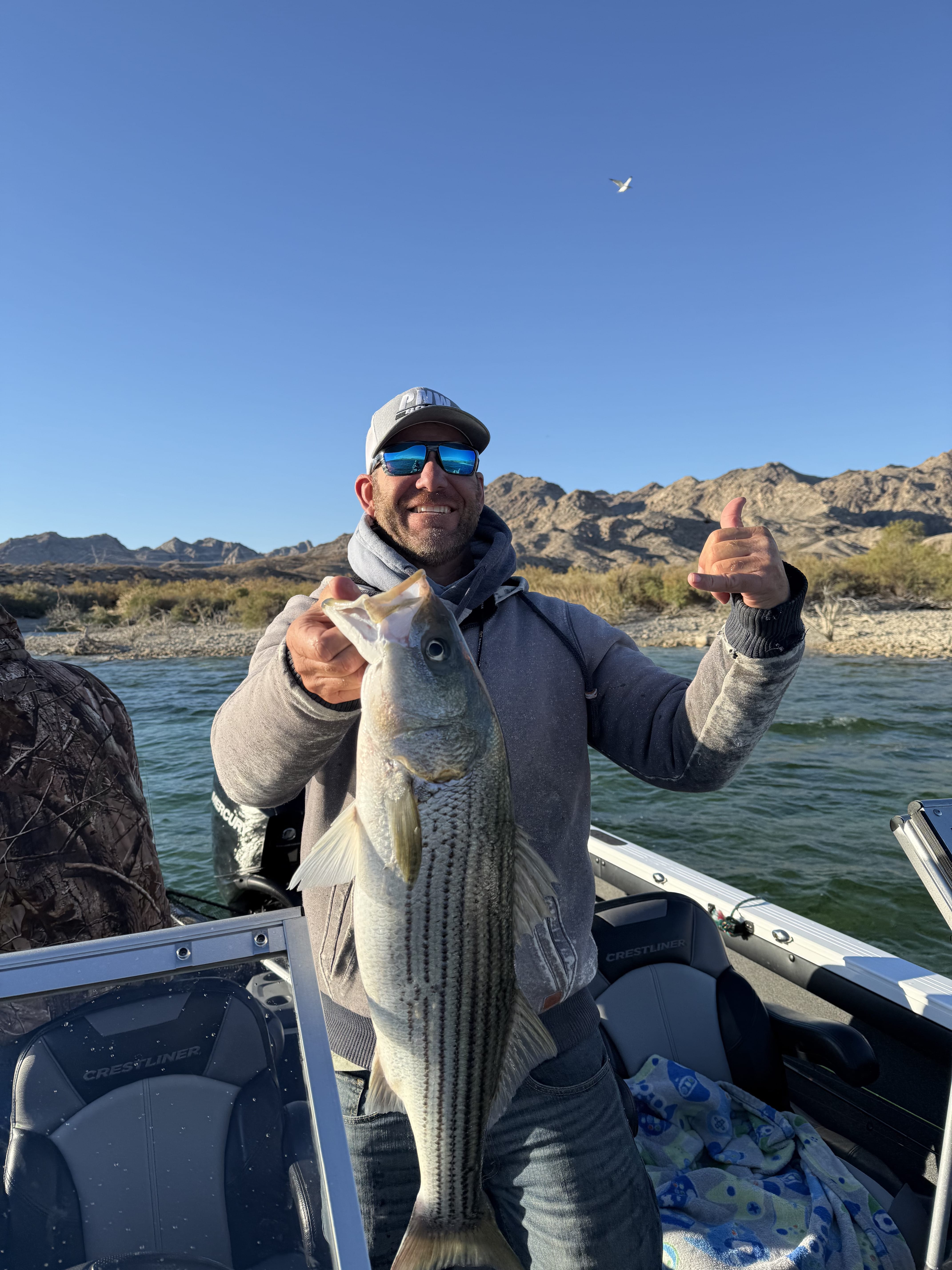 Striped bass held by smiling angler on the boat