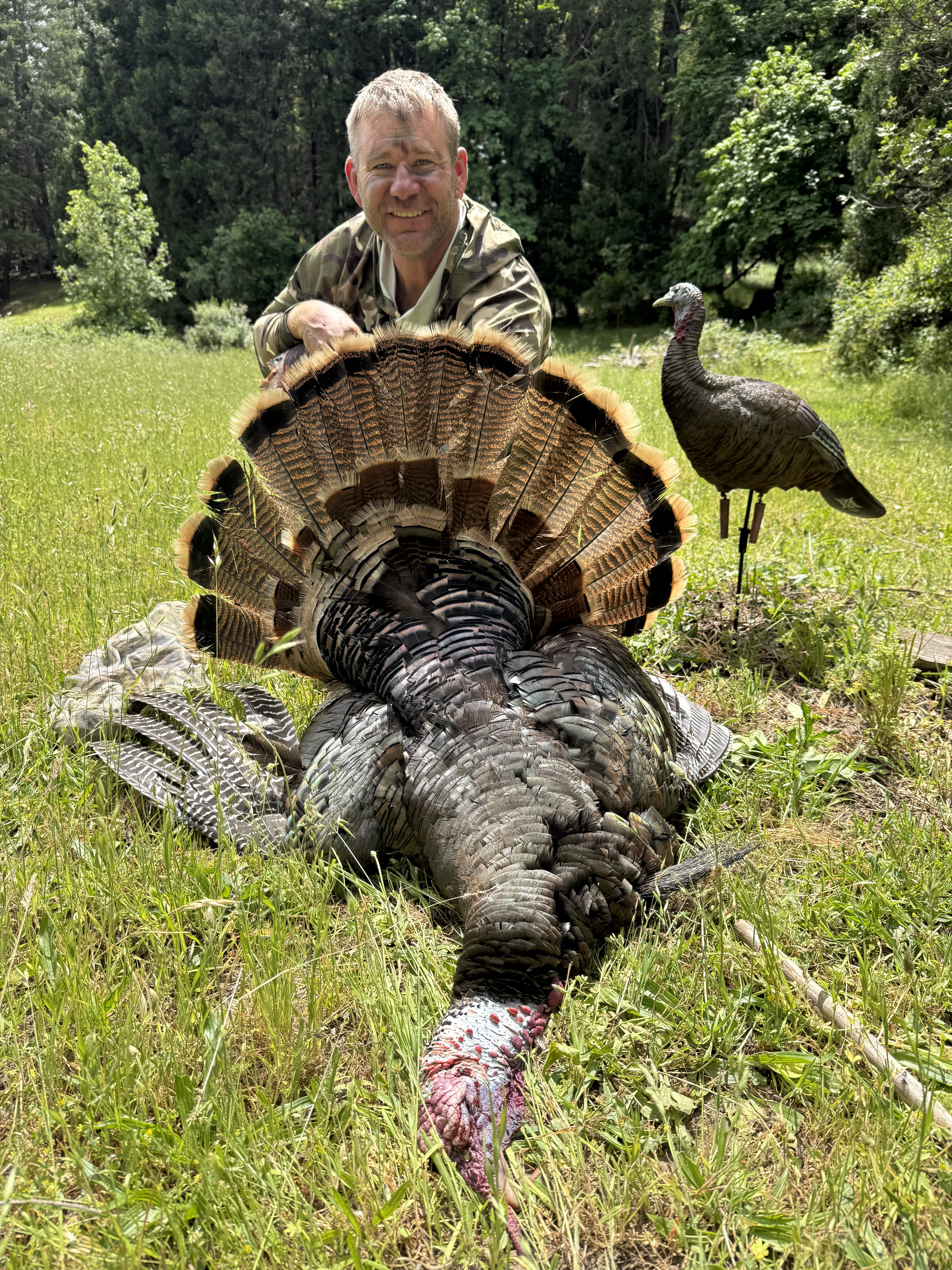 Hunter with a turkey in a wooded meadow