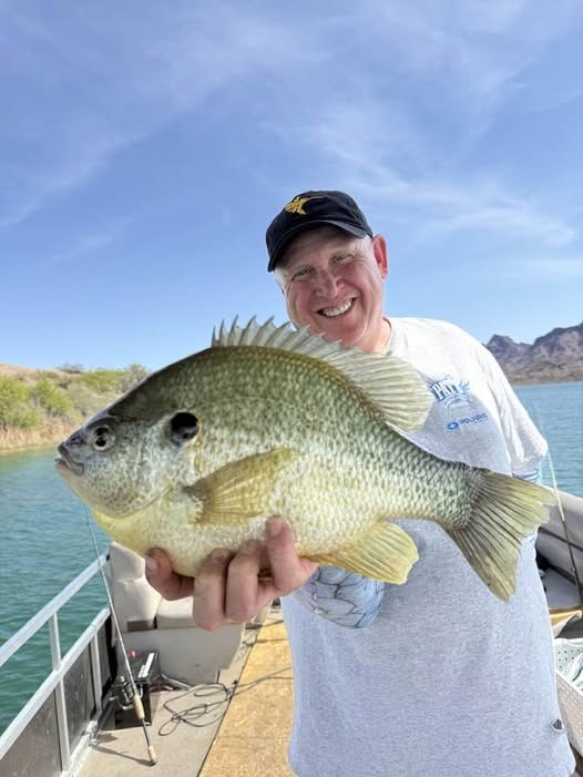 Angler holding a redear sunfish on Lake Havasu from the deck