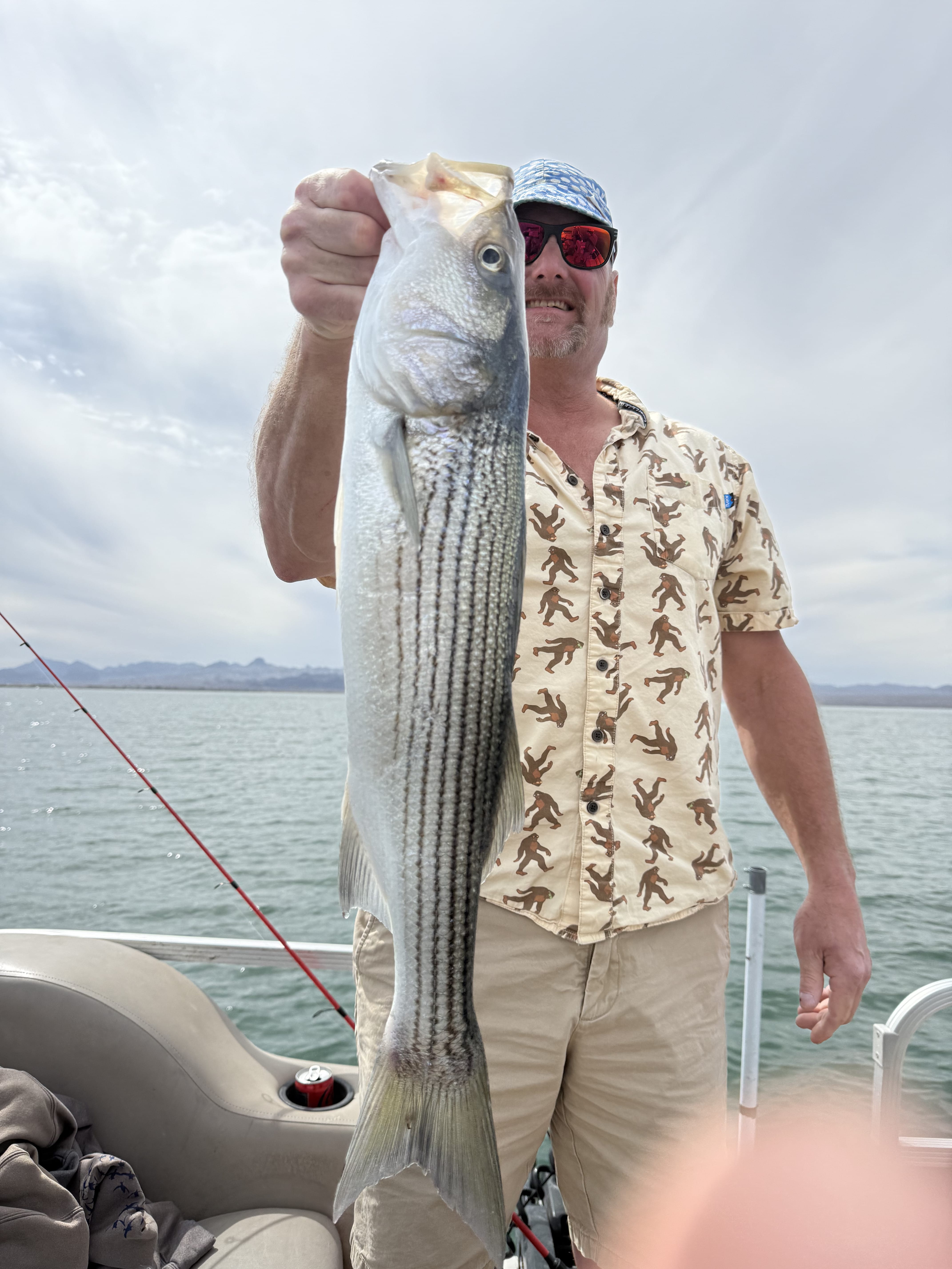 Angler holding two striped bass on calm water